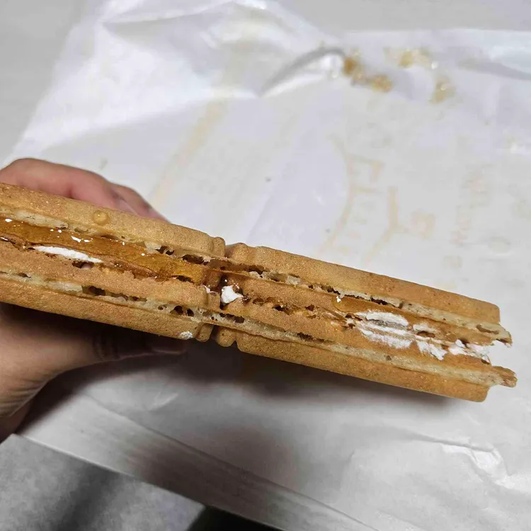 와플대학 대표 사진