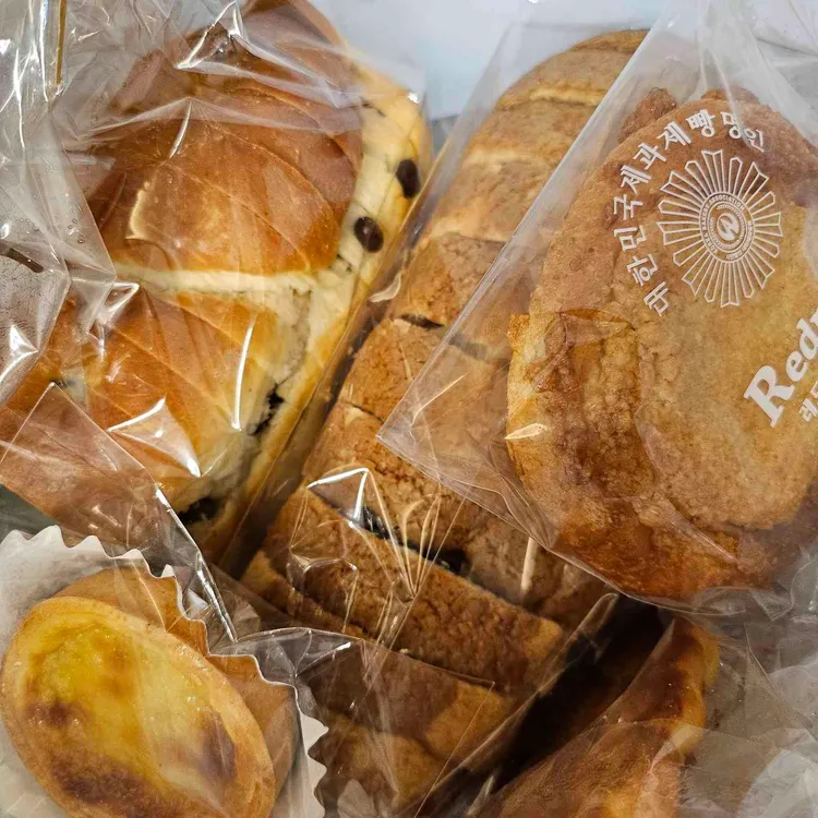 레드팡 대표 사진