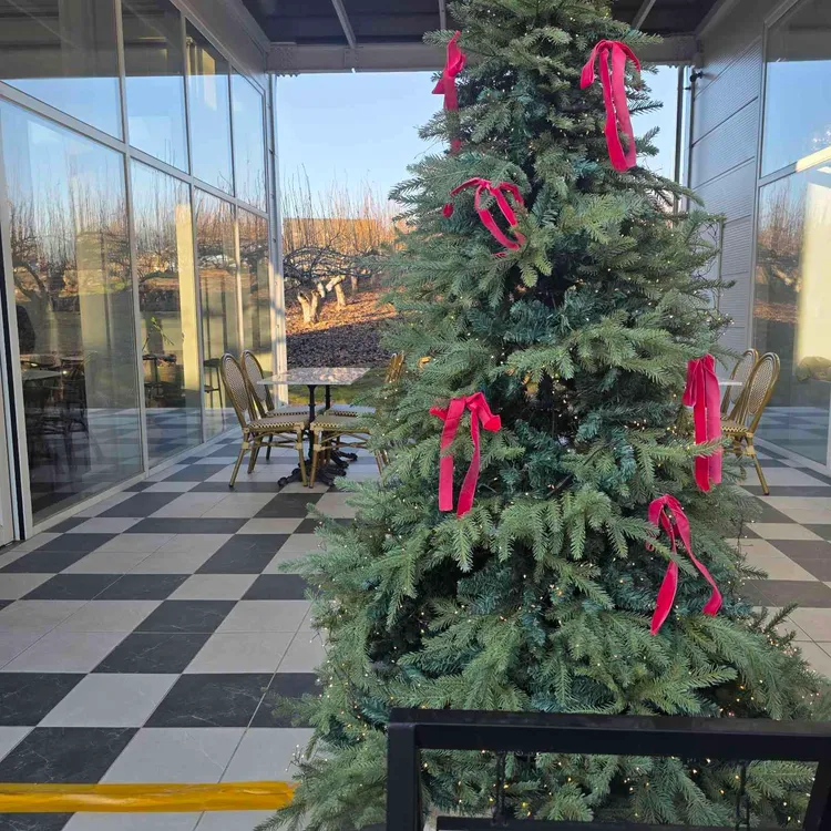 죽백화 커피클럽 사진