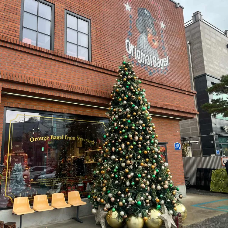 오렌지베이글 사진