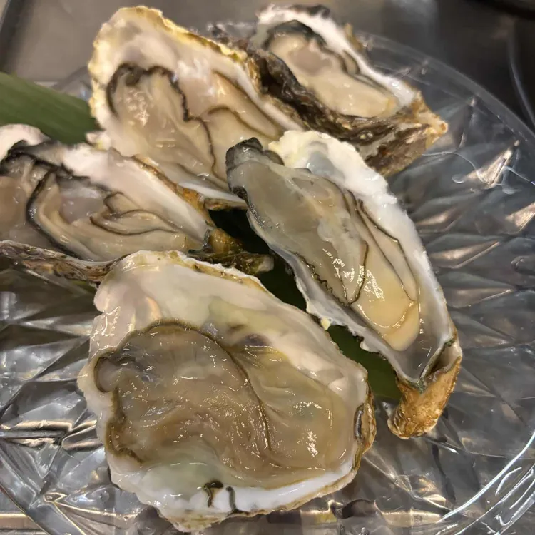 하와이조개 대표 사진