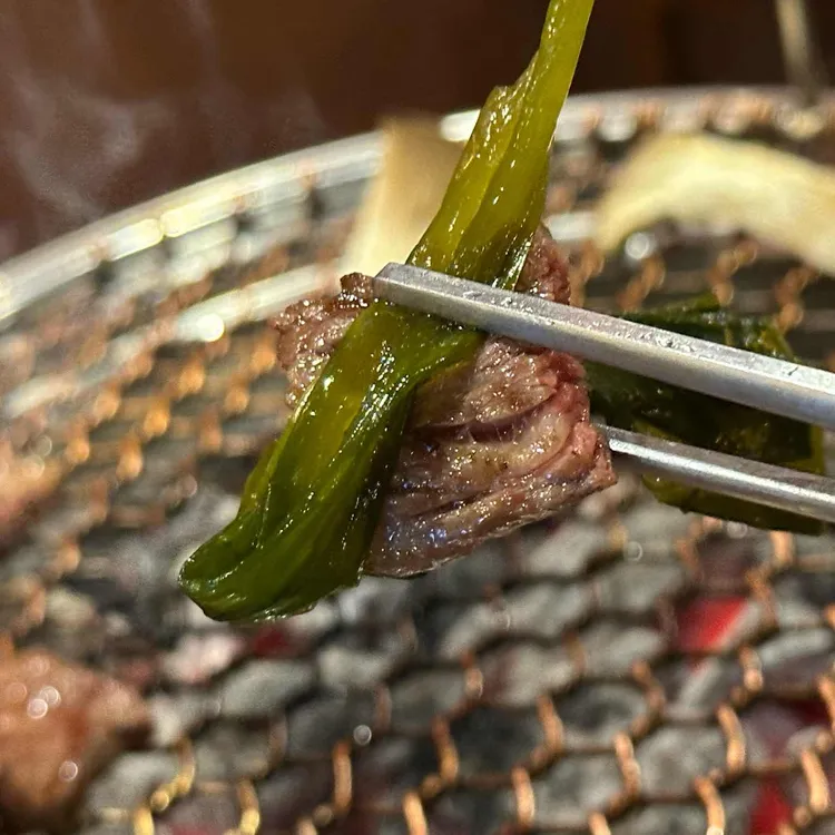 시로 대표 사진