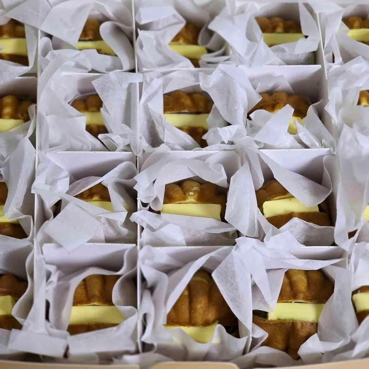 복호두 배곧 대표 사진