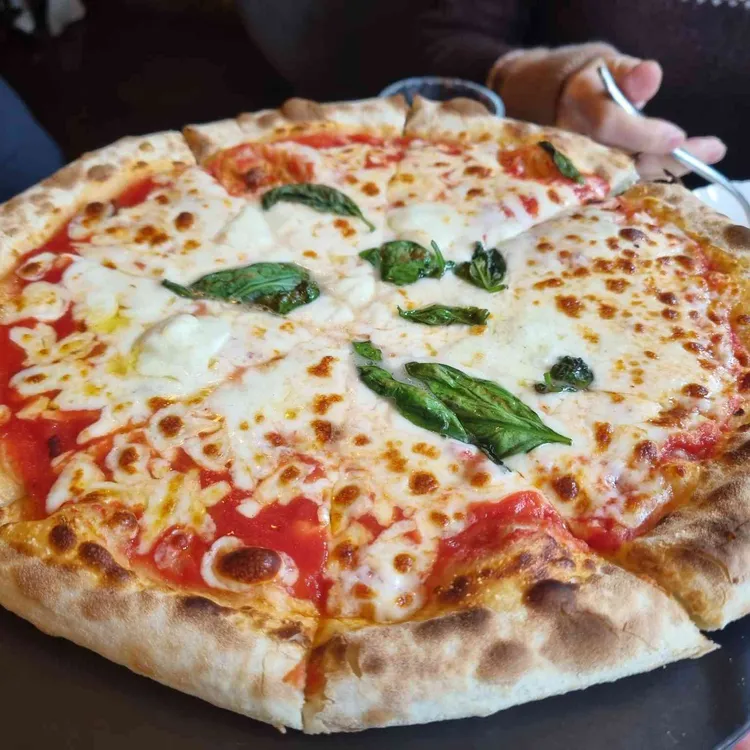 지오쿠치나 사진