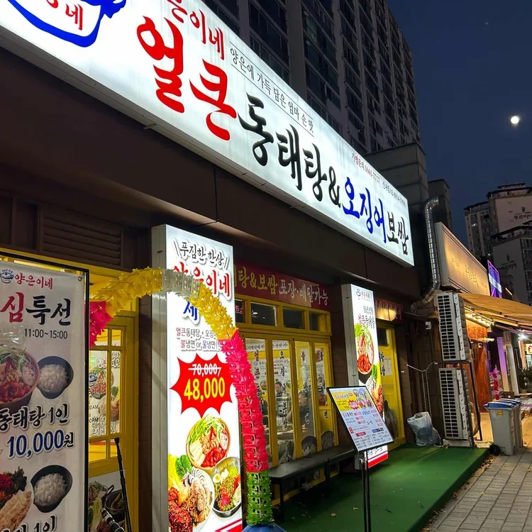 양은이네 대표 사진