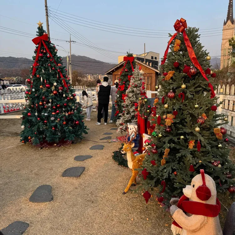 포니벨라 대표 사진