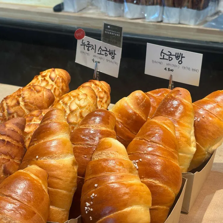 도우트리 대표 사진