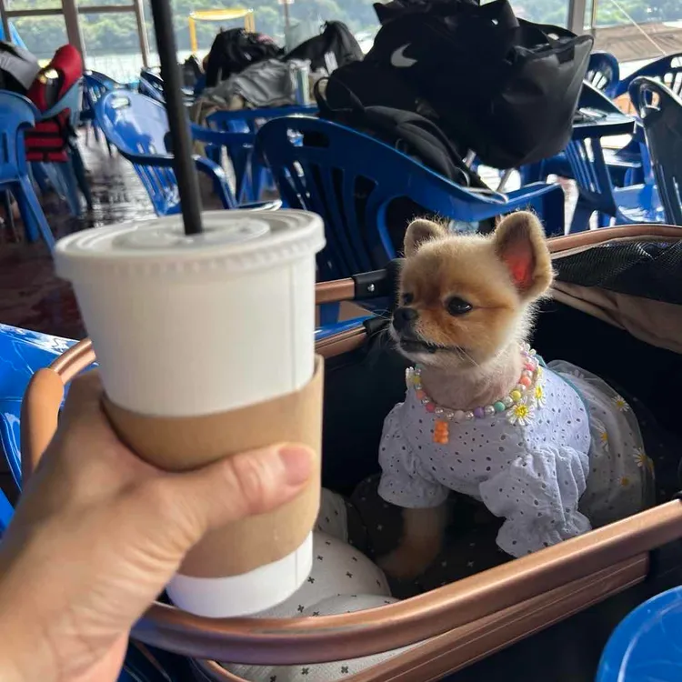 카페킹 리버뷰 대표 사진