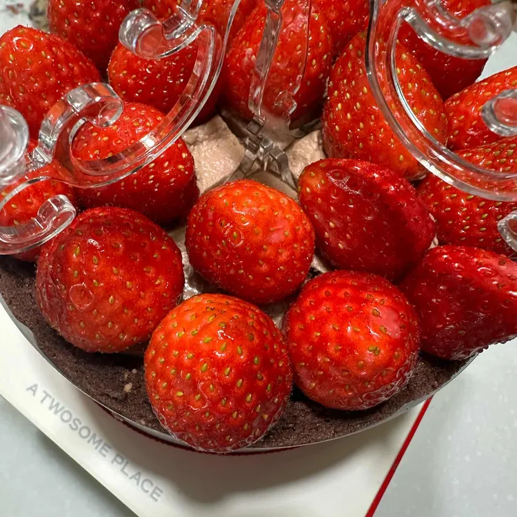 투썸플레이스 대표 사진