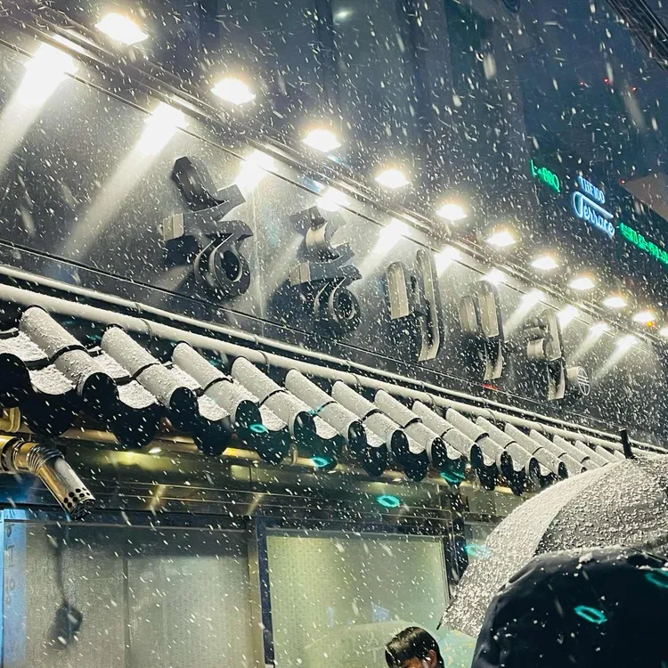 능동미나리 사진