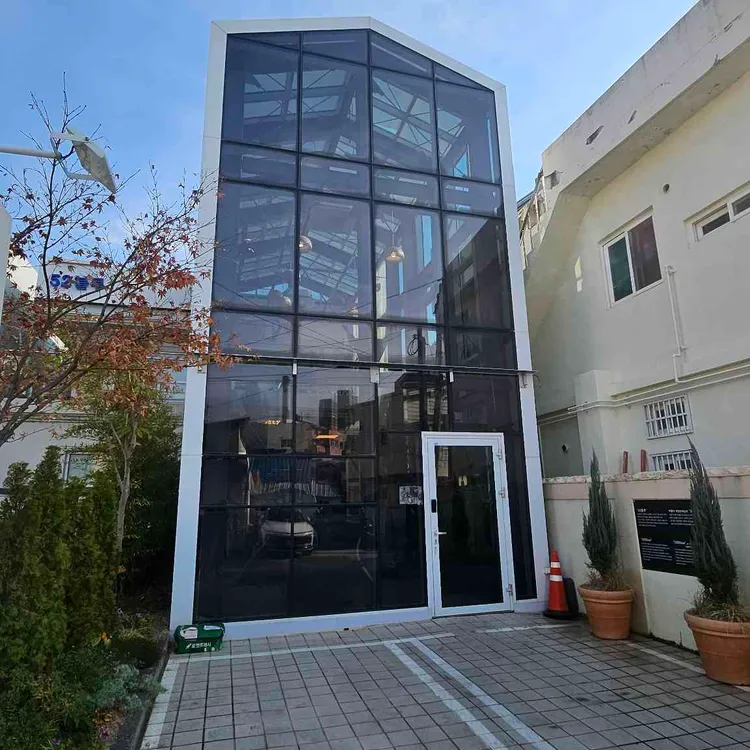 솔티라이엇 대표 사진