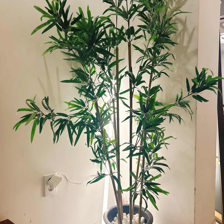 그라운드 플로어 대표 사진