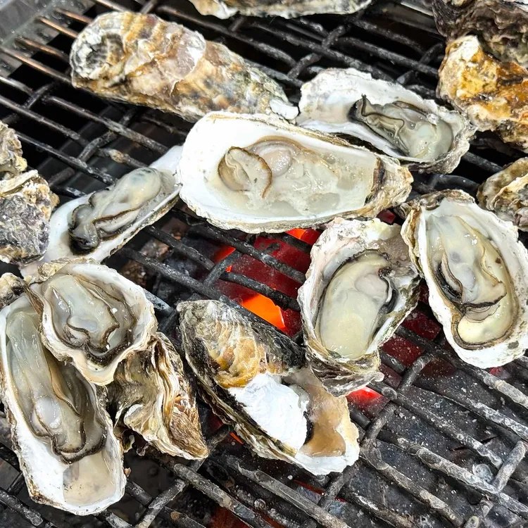 굴마을 대표 사진