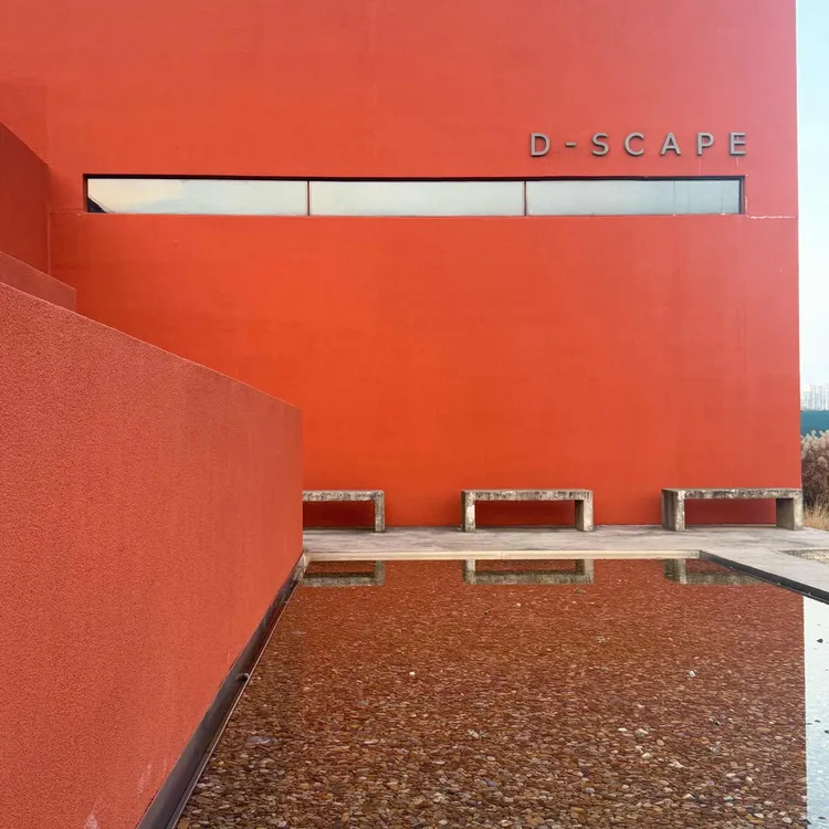 디스케이프 사진