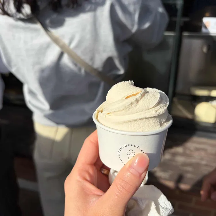 순두부젤라또 사진