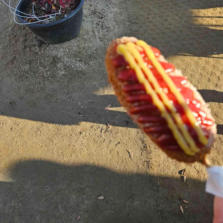 연핫도그 사진