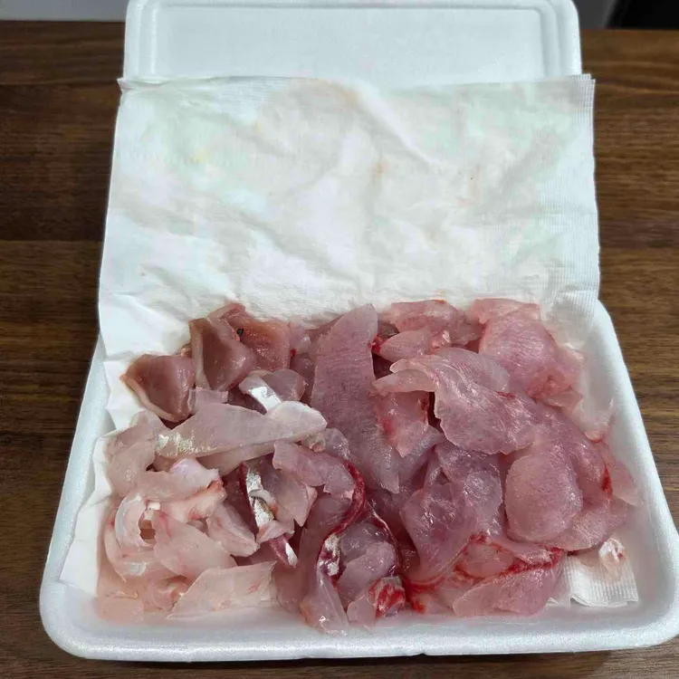 금양호 대표 사진