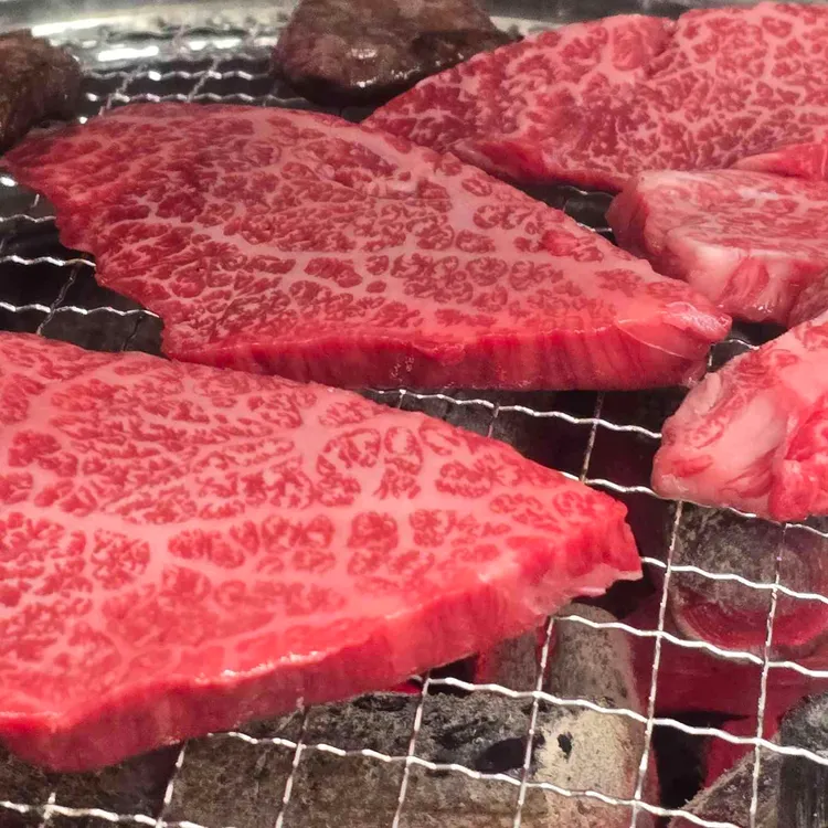 단군한우정육식당 대표 사진