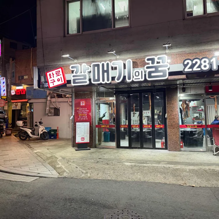 갈매기의꿈 사진