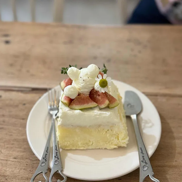 크리미데이지 사진