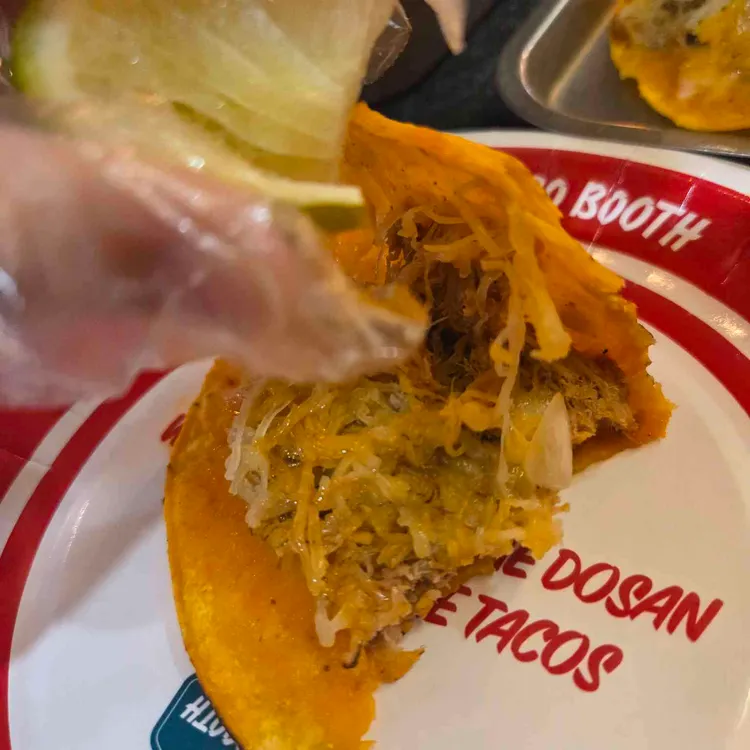 더타코부스 대표 사진