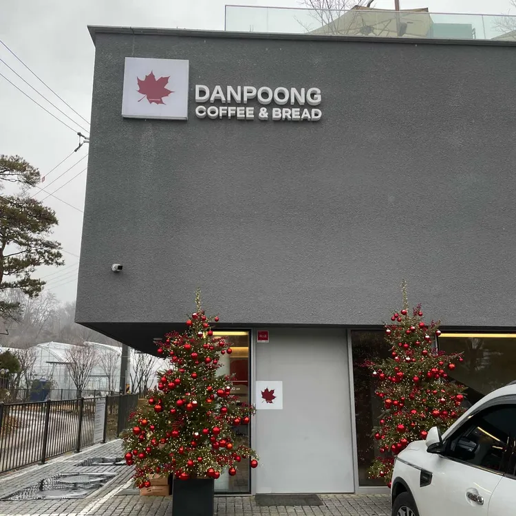 단풍 대표 사진