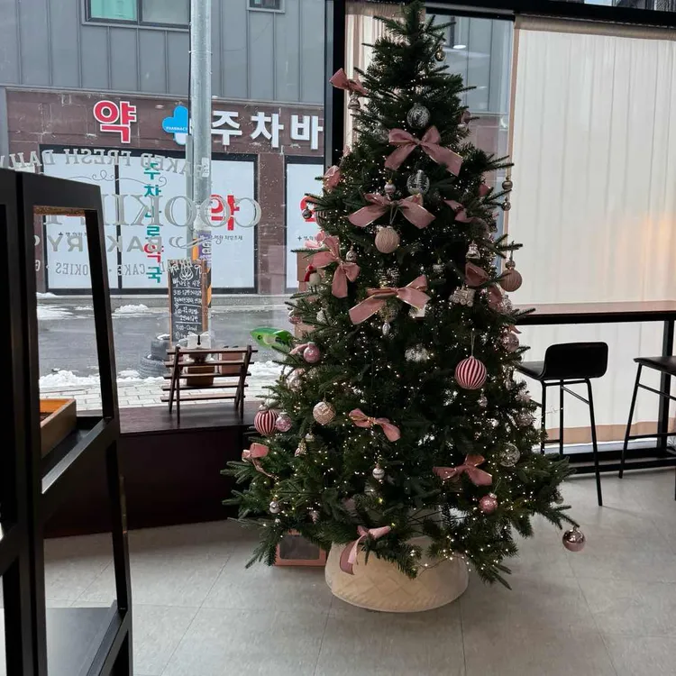 쿠키트리 대표 사진