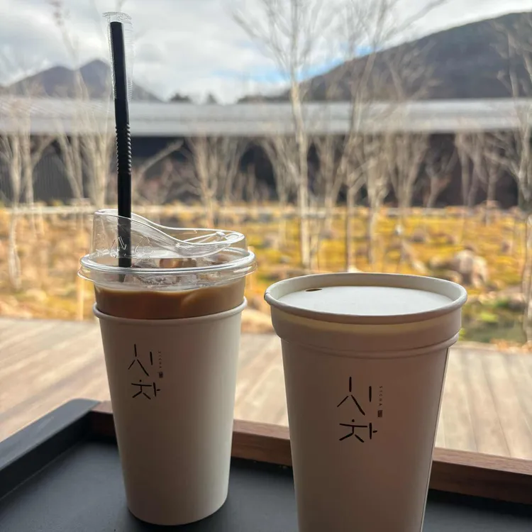 시호재&시차 사진