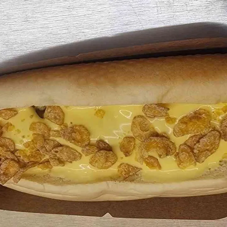 코브라독스 대표 사진