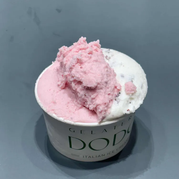 젤라떼리아 도도 사진