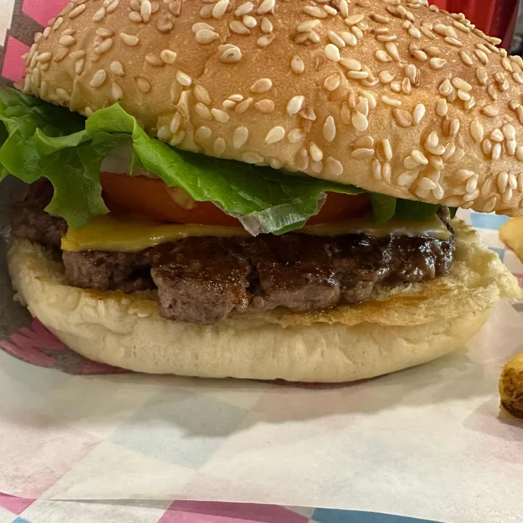 버거베어 대표 사진