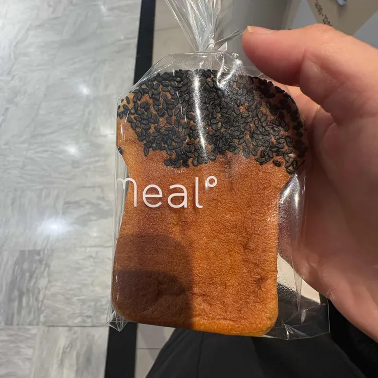 폴 바셋 대표 사진