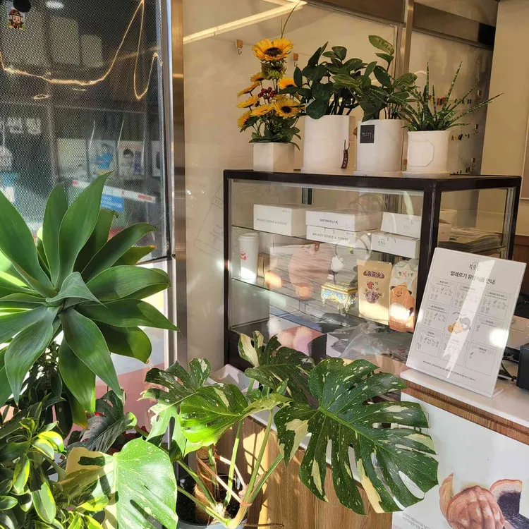 복호두 대표 사진