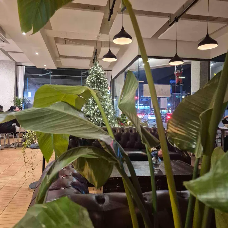 샬로우커피 대표 사진