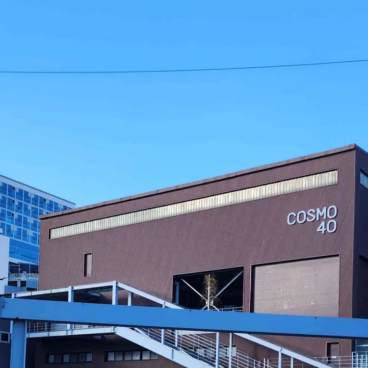 코스모40 사진