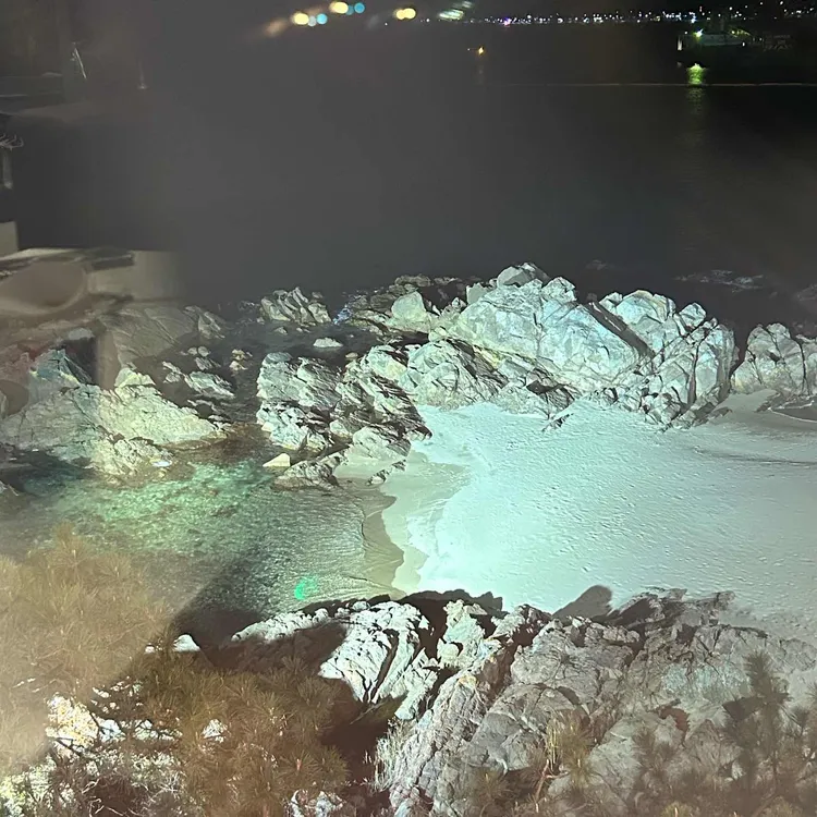 웨이브온커피 사진