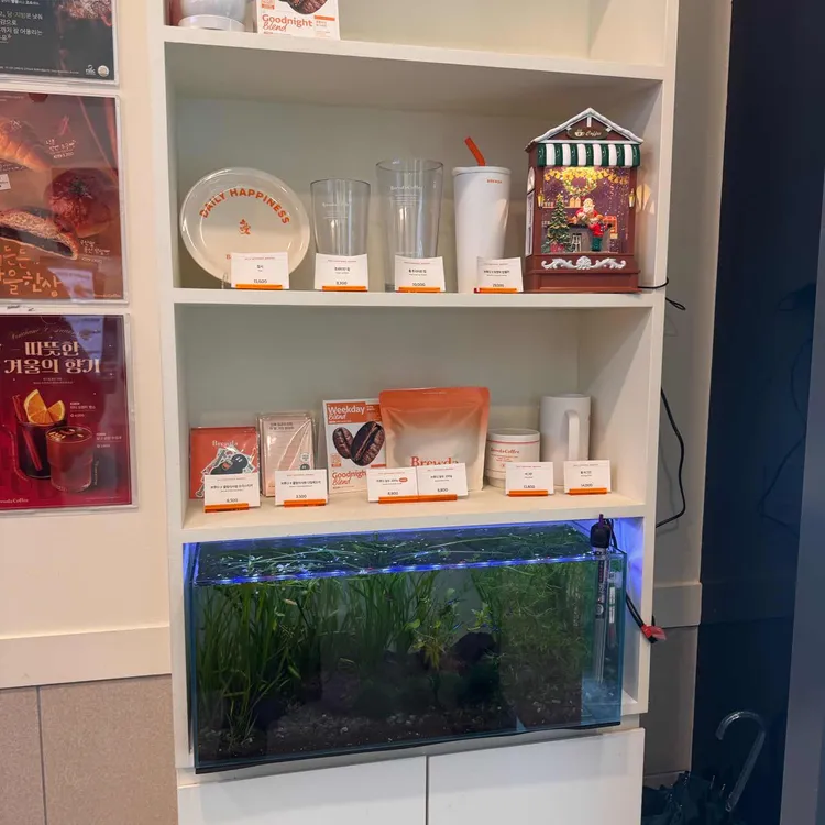 브루다커피 케이 대표 사진