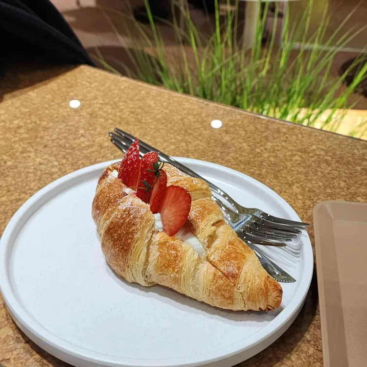 네스트 비 대표 사진