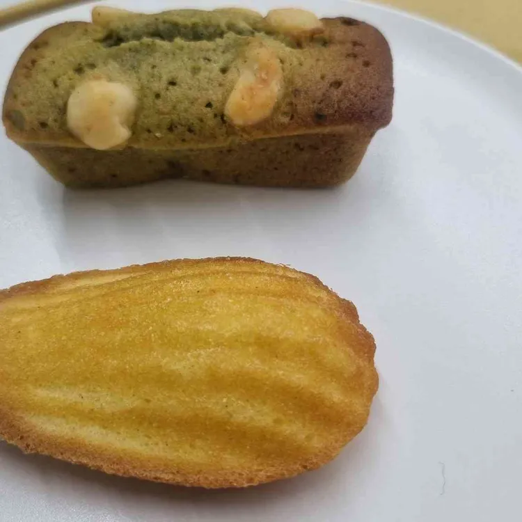 퍼피 대표 사진