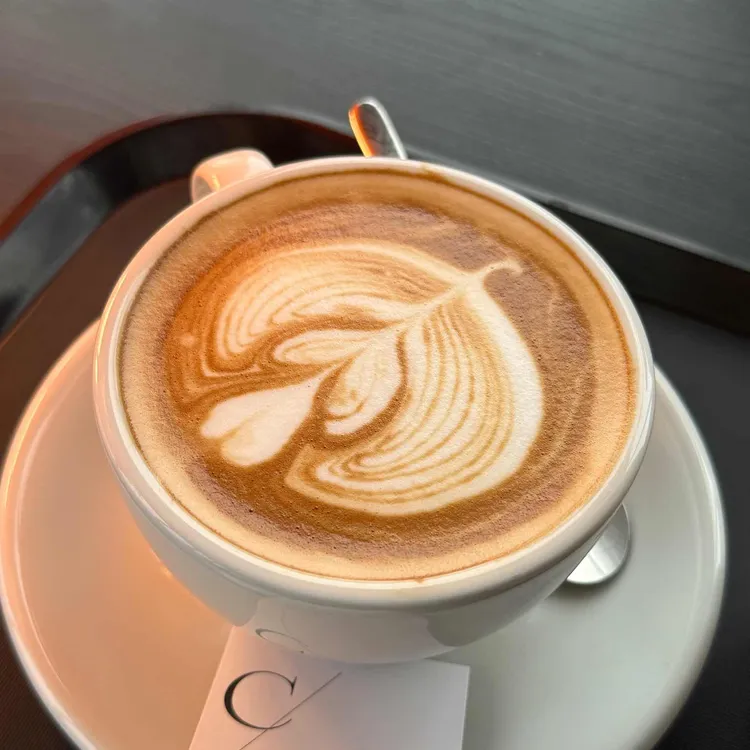 프레디커피 사진