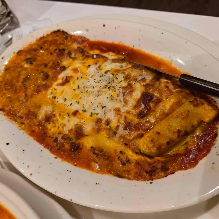 놉스 대표 사진