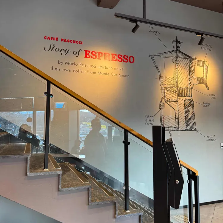 파스쿠찌 대표 사진