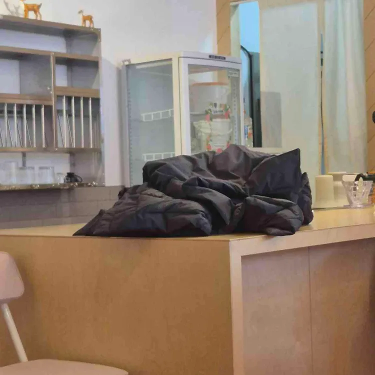 시도시도 대표 사진