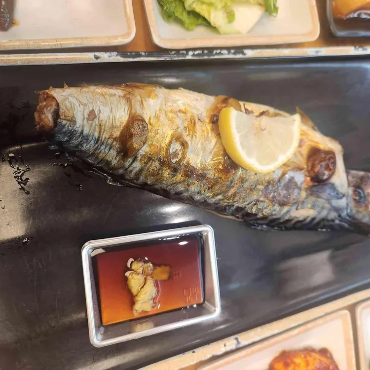 산으로 간 고등어 사진