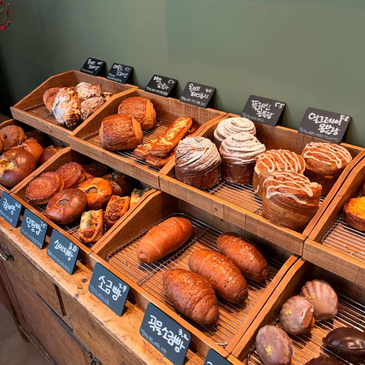 세드릭 대표 사진