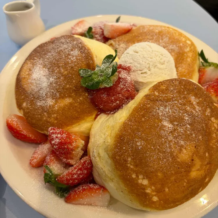 데일리오아시스 사진