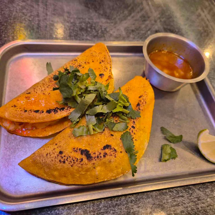 더타코부스 사진