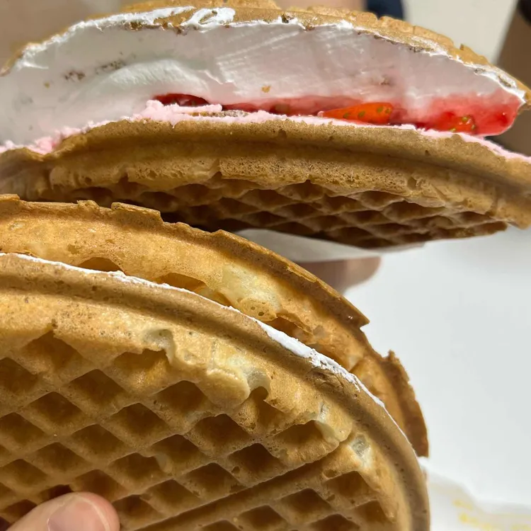 와플대학 대표 사진