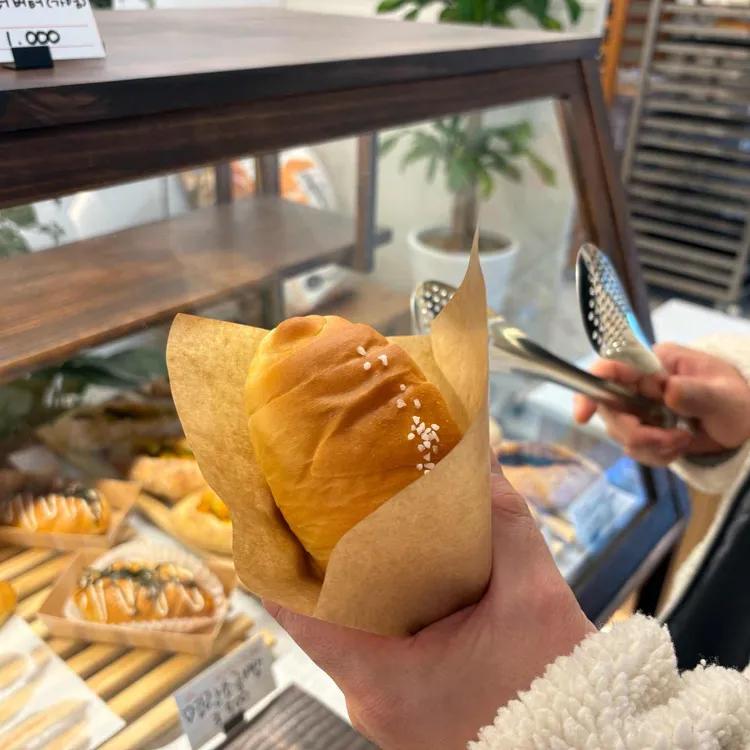 도레팡 대표 사진