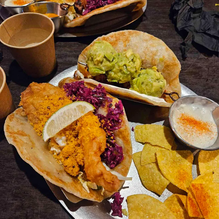 멕시타이거 사진